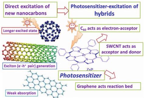 Photophysical and photochemical properties of fullerenes, SWCNTs and... | Download Scientific ...