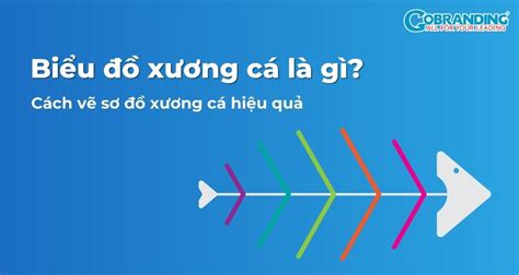 Hướng dẫn cách vẽ biểu đồ xương cá trong excel chuyên sâu và đầy đủ nhất