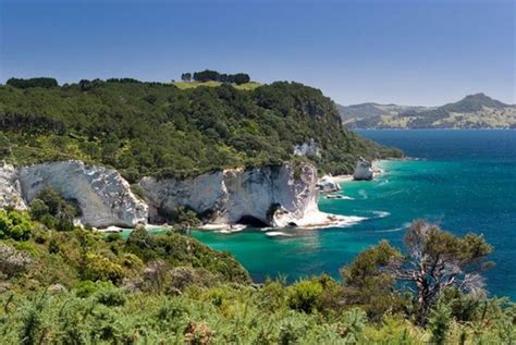 Coromandel Peninsula Coast Cathedral Cove Beaches