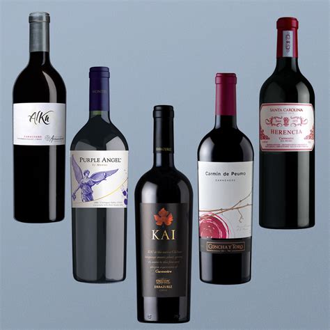 10 Cool Things to Know About Carménère Wine | Wine Folly