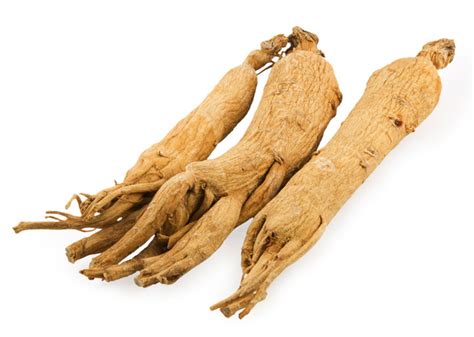 Health benefits of Panax ginseng part2 | Panax Ginseng