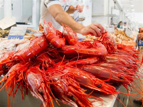 Carabineros Shrimp | Santa Monica Seafood