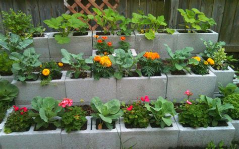 cinder block garden wall ideas - Paz Hendrickson