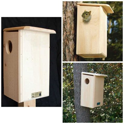 Squirrel Houses for Sale: Three Great Nests for Use as Dreys or Dens!