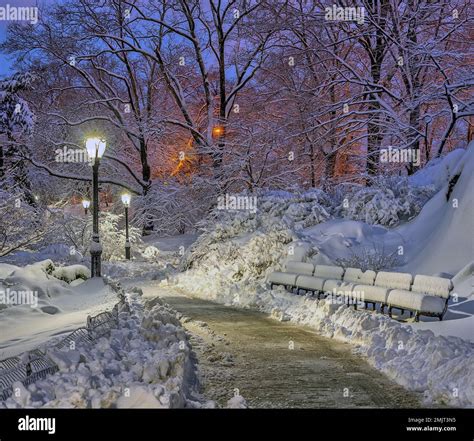 Central Park in winter Stock Photo - Alamy