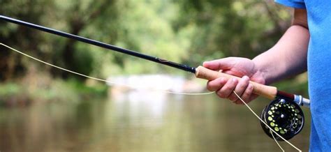 Best fly fishing rods in 2019 of 2021 – OutdoorMiks