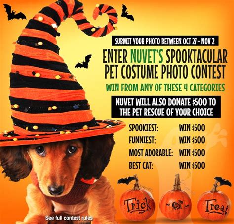 NuVet's Spooktacular Pet Halloween Costume Photo Contest | Pet ...