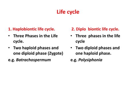 General Characters of Rhodophyceae & Life Cycle of Polysiphonia SMG