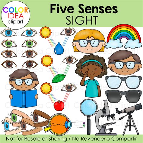 Clipart For The Five Senses