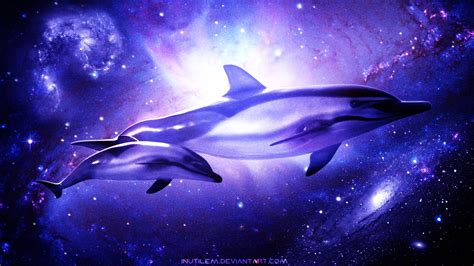 Beautiful Dolphins Wallpaper