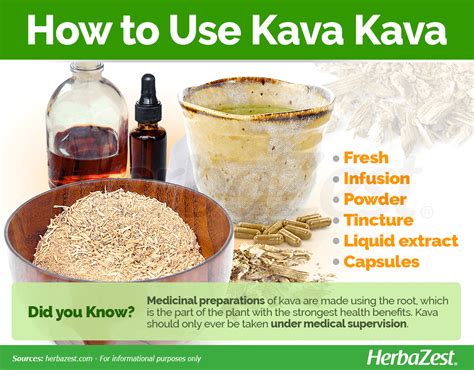 Kava Kava | HerbaZest