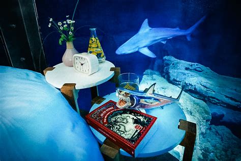 Shark Aquarium Underwater Bedroom | Uncrate