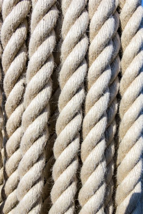 Free Images : sea, branch, rope, fence, vintage, texture, old, cable ...