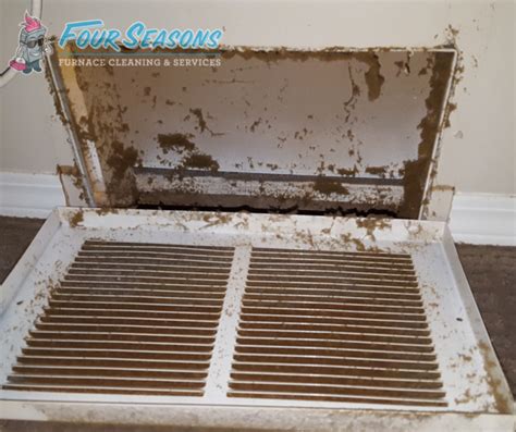 Furnace & Duct Cleaning – Four Seasons Furnace Services