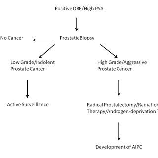 Prostate cancer diagnosis and treatment. | Download Scientific Diagram