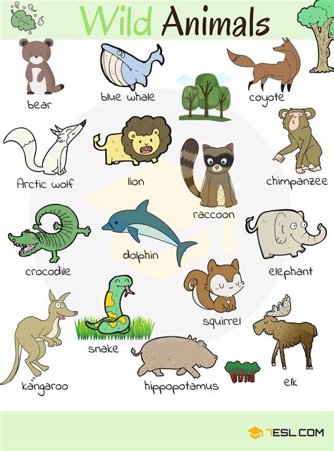 6 Wild or Domestic Animals Worksheets - AMP