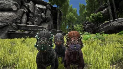 ARK: Pachycephalosaurus - How to Tame, Feed and Breed!