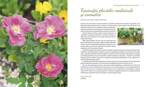 Plante medicinale si aromatice din farmacia bunicii - Editura Casa