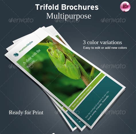 FREE 13+ Zoo Brochure Templates in PSD | AI | Vector EPS