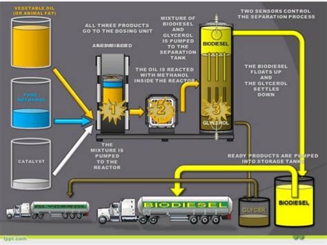 Biodiesel production in middle east opportunities and challenges jord…