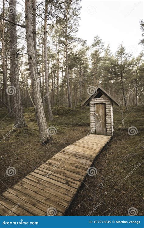 Countryside Scene in Forest - Soft Vintage Look Stock Image - Image of rural, countryside: 107975849