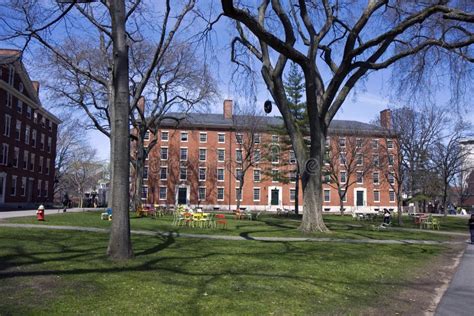 Harvard campus stock image. Image of study, landmark - 19440339