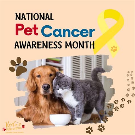 Cancer Prevention in Dogs – Fun 4 Kids n Paws 🐾