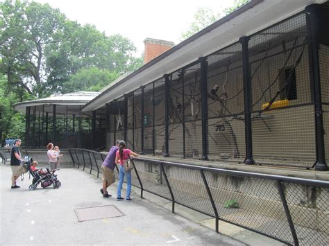 Bronx Zoo- Capuchin Monkey Exhibit - ZooChat