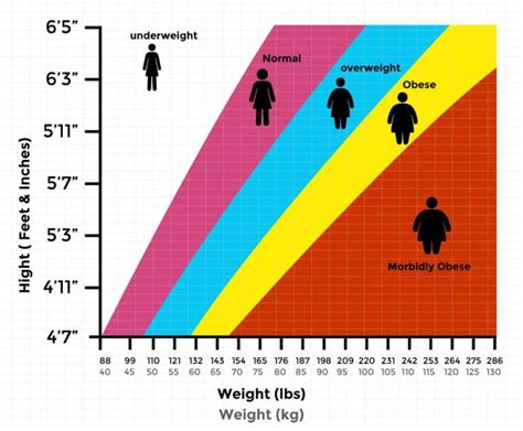 What bmi - AdwinaCoben