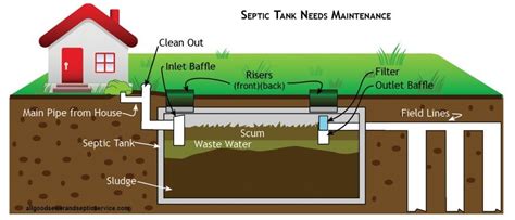 How Do Septic Tank Enzymes Work? - Septic Tank Servicing