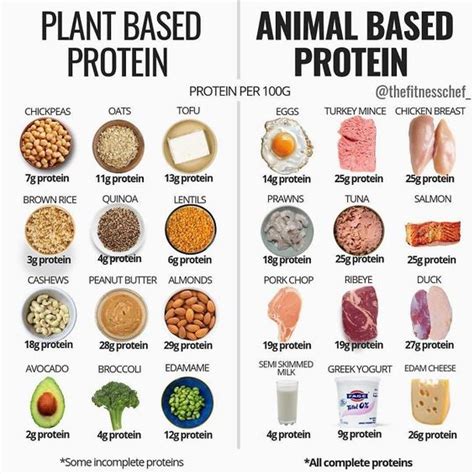 Plant Based Protein vs Animal Based Protein : r/HealthyEatingnow