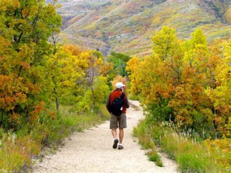 Autumn In The Wasatch Mountains | Raven and Chickadee