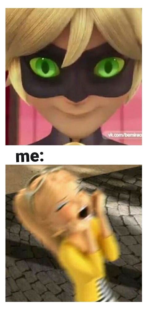 Cat Noir is so creepy in that picture 😳😅/Memes de miraculous/Miraculous Ladybug | Miraculous ...