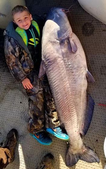 Young angler catches 105-pound catfish at Kerr Lake - Carolina Sportsman