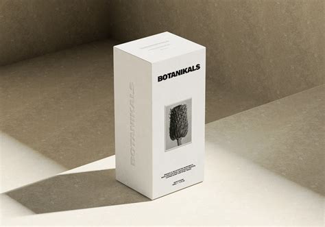 Cosmetic Packaging Box Mockup - Mockup World