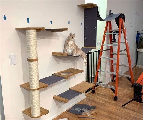 Cat shelves bridge Cat Bridge Cat wall furniture Cat shelves wall Cat ...