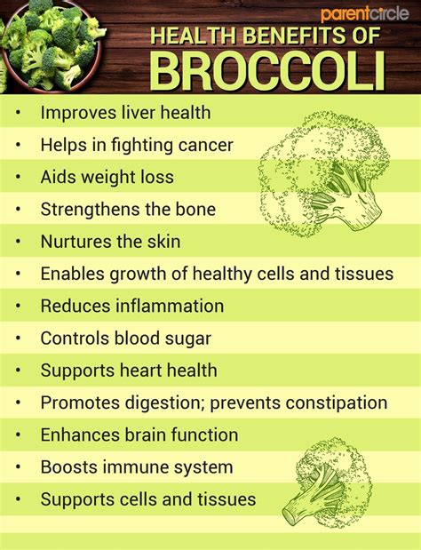 Broccoli Nutritional Value per 100g, Broccoli Health Benefits ...