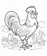 Rooster Coloring Pages sketch template