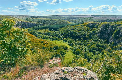 Nature of Bulgaria: Places, Plants and Animals