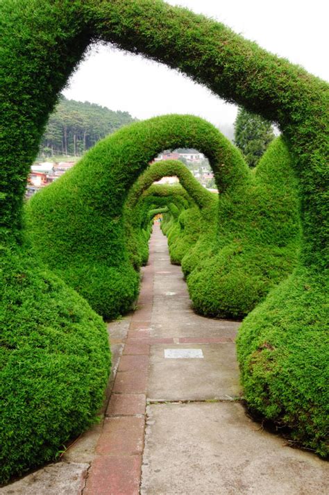 41 Incredible Garden Hedge Ideas for Your Yard (PHOTOS)