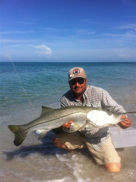 9 best Siesta Key fishing spots – Siesta Key Fishing Charters