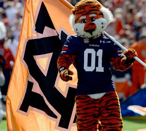 Aubie wins Capital One Mascot Challenge | Auburn tigers football, Auburn, Auburn university