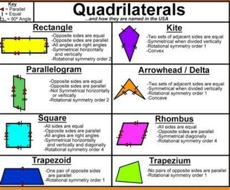 🏇🛵🏇The different types of Quadrilaterals🏇🛵🏇