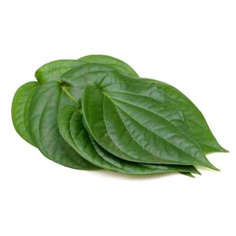 PAAN LEAVES