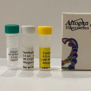 HT-29 Transfection Kit (Colorectal Adenocarcinoma) | Transfection ...