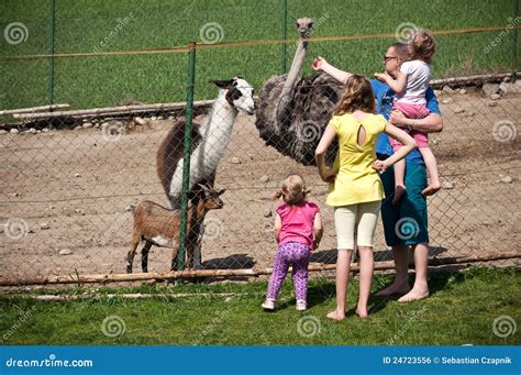 Family Feeding Animals In Farm Stock Photo - Image: 24723556