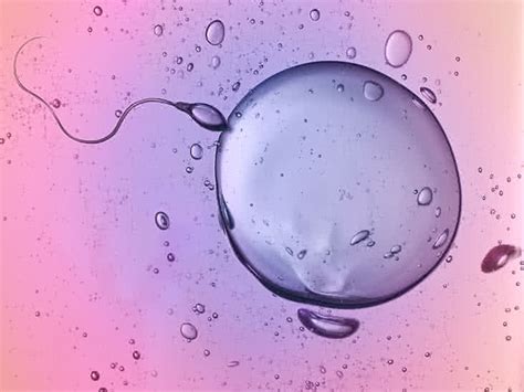 Sperm Motility: Causes, Treatment, and More