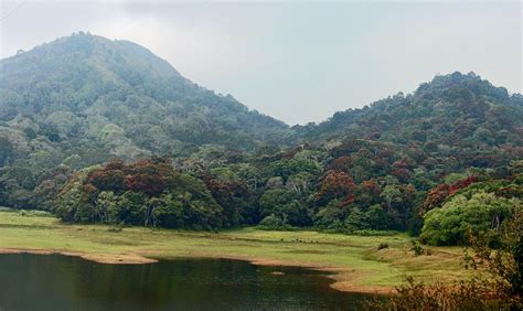 Stock Pictures: Periyar National Park in Thekkady Kerala