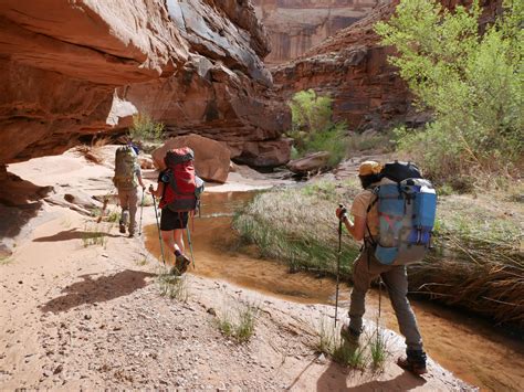 Colorado Plateau: Desert Canyons and Cultures - Wild Rockies Field Institute