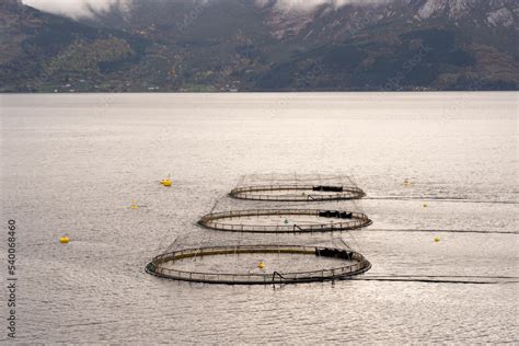 A salmon fish farm in Norway. Norway is the biggest producer of farmed salmon in the world ...